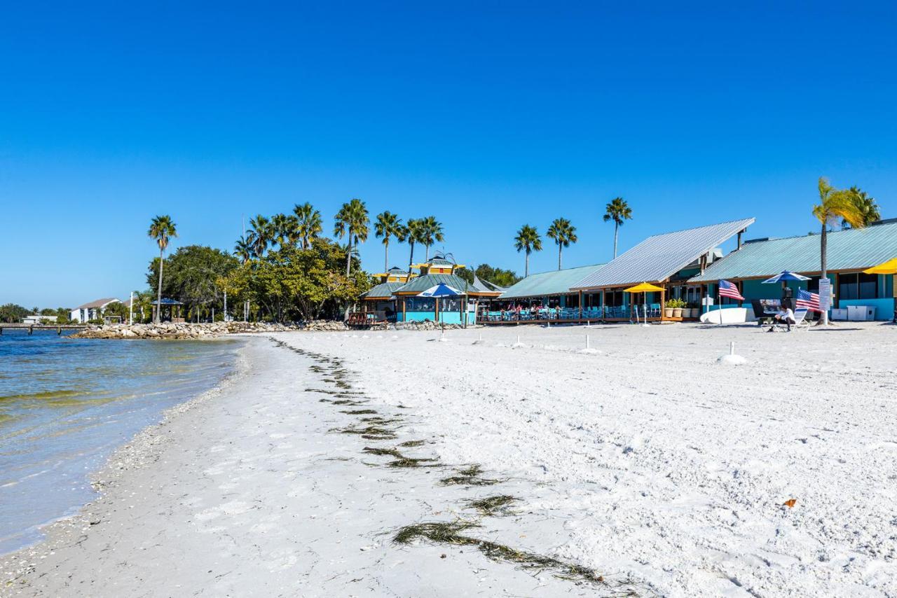 Come Stay Where The Dolphins Play! Раскин Экстерьер фото